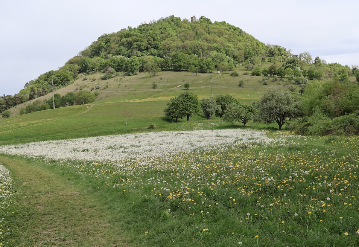 Hausberg